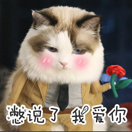 爱老婆.jpg