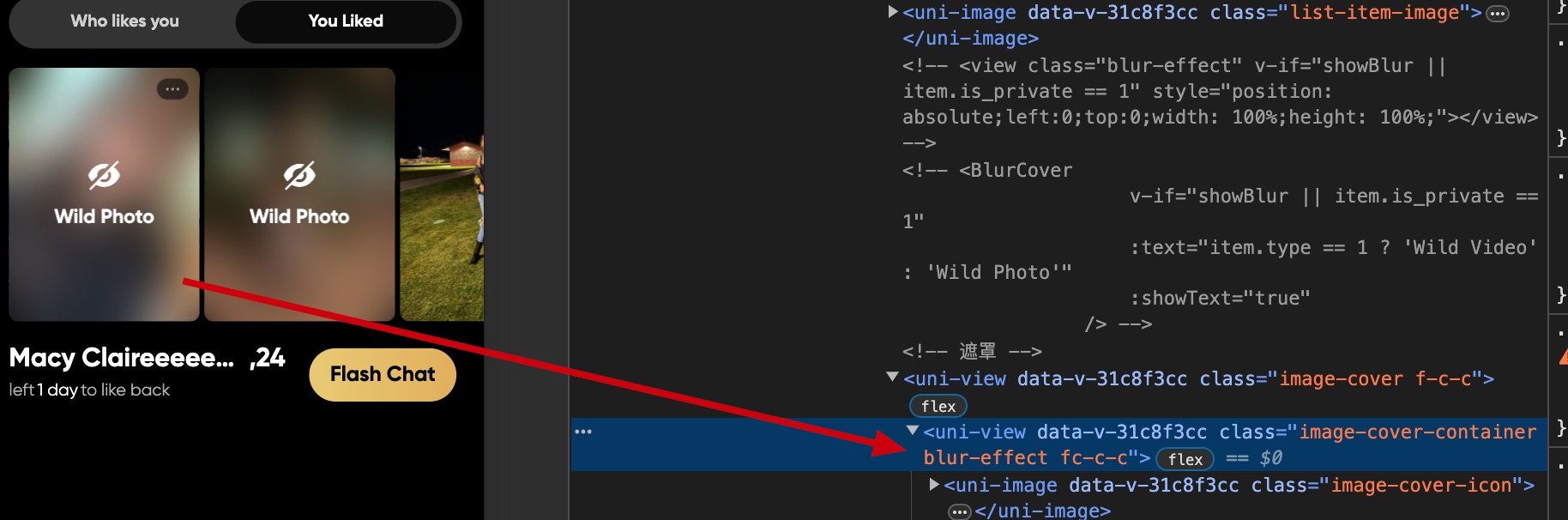 image或video加背景高斯模糊