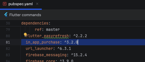 pubspec.yaml