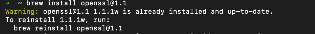 brew install openssl