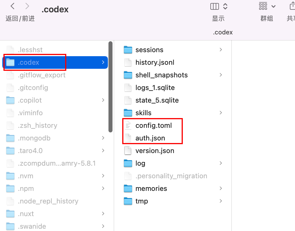 codex auth files