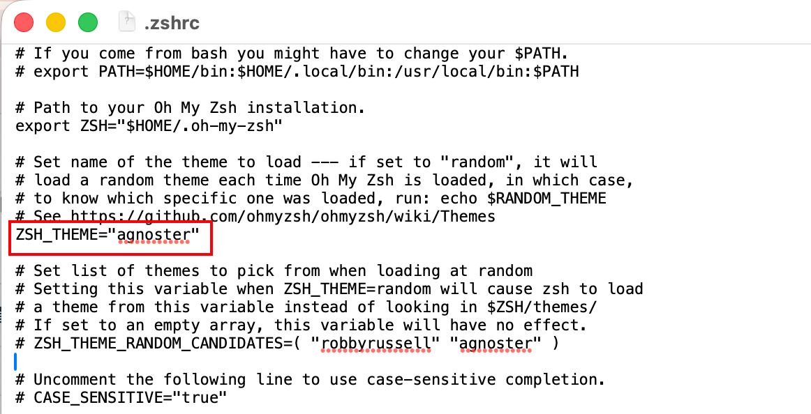 modify zsh_theme