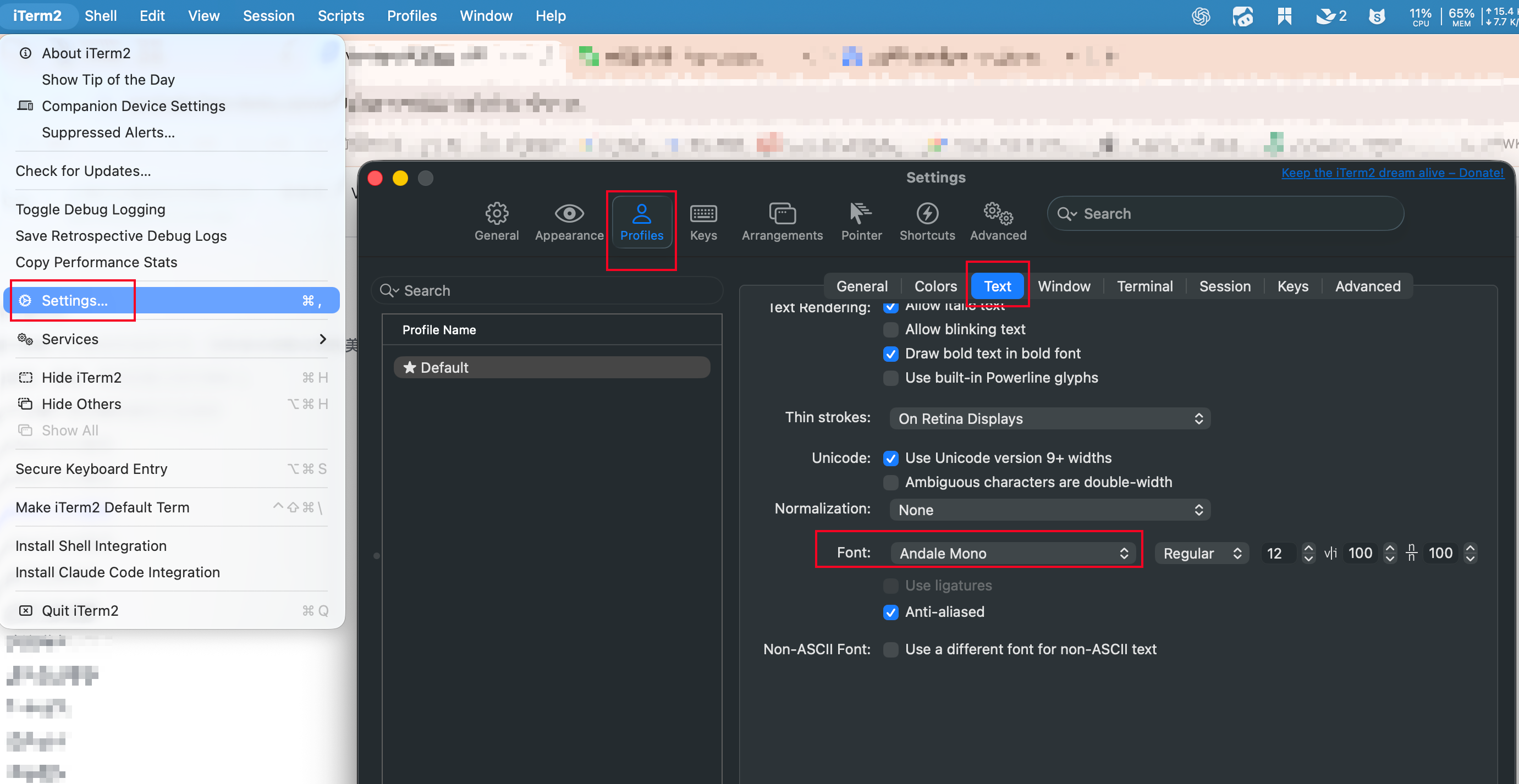settings of iterm2
