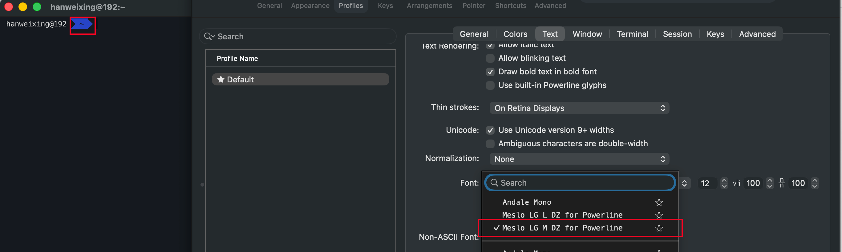 font config of iterm2