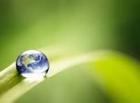 我认为的人生意义